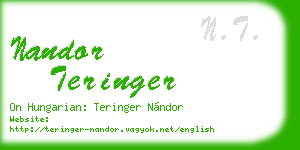 nandor teringer business card